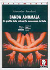 Libro: Banda anomala. Un profilo della videoarte monocanale in Italia