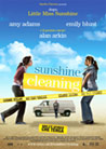 Dvd: Sunshine Cleaning