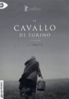 Dvd: Il cavallo di Torino