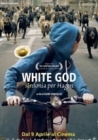 Dvd: White God - Sinfonia per Hagen