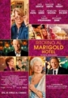 Dvd: Ritorno al Marigold Hotel