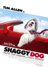 Dvd: Shaggy Dog