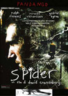 Dvd: Spider
