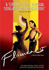 Locandina del film Flamenco