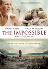 Locandina del Film The Impossible