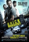 Locandina del Film Brick Mansions