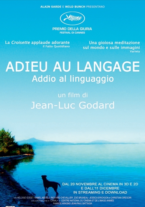 Locandina Adieu au langage