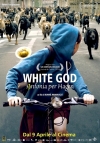 Locandina del Film White God - Sinfonia per Hagen