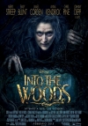 Locandina del Film Into the Woods