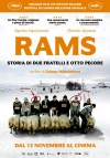 Locandina del Film Rams - Storia di due fratelli e otto pecore