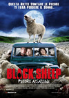 Locandina del Film Black Sheep 